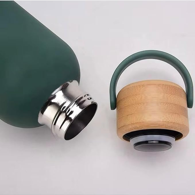 Sipstories 550ml Pure Stainless Steel Water Bottle – Lightweight & Rust-Proof – Leak-Proof with Ergonomic Handle (Elegant Green)